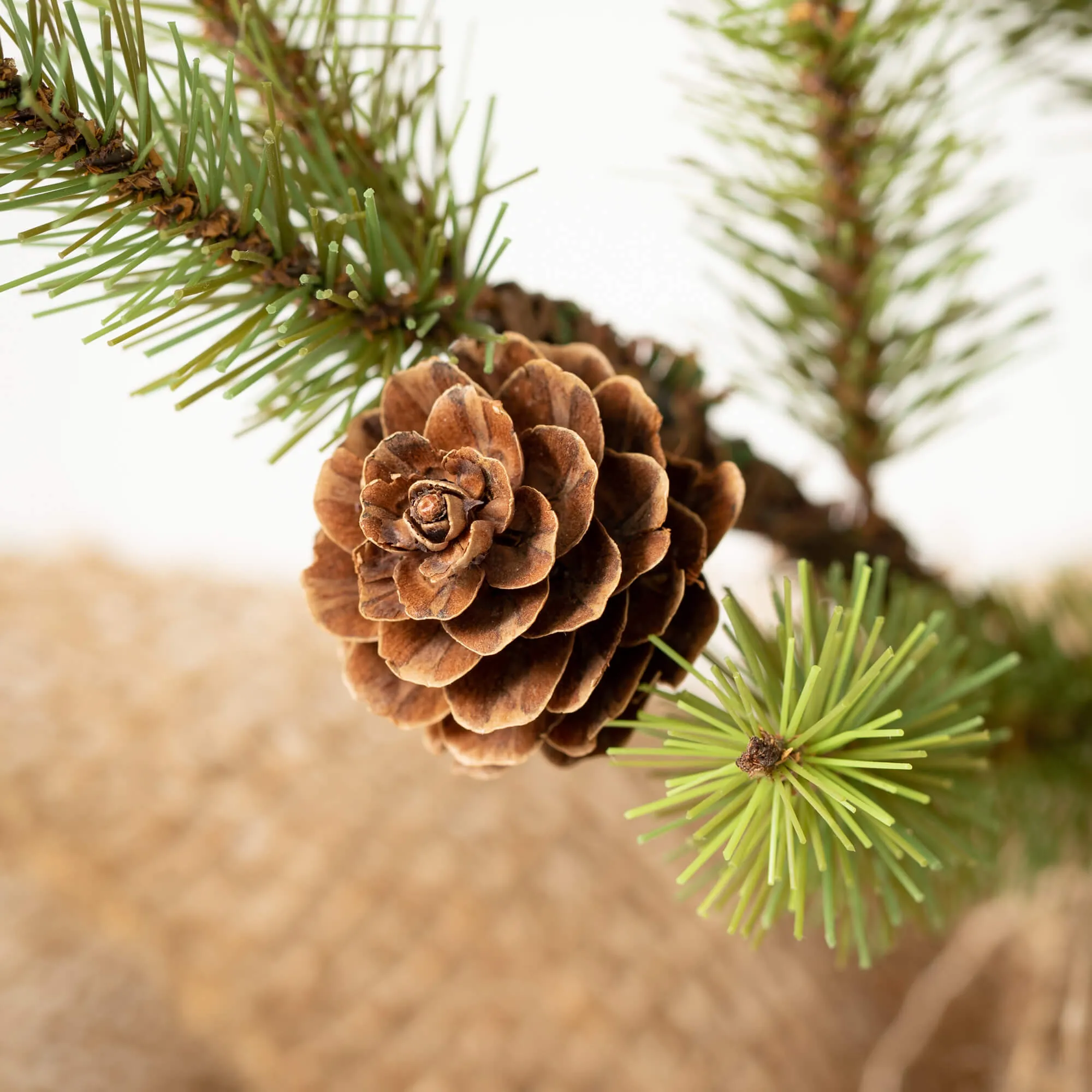 18"H Sullivans Small Pinecone Tree In Burlap, Green