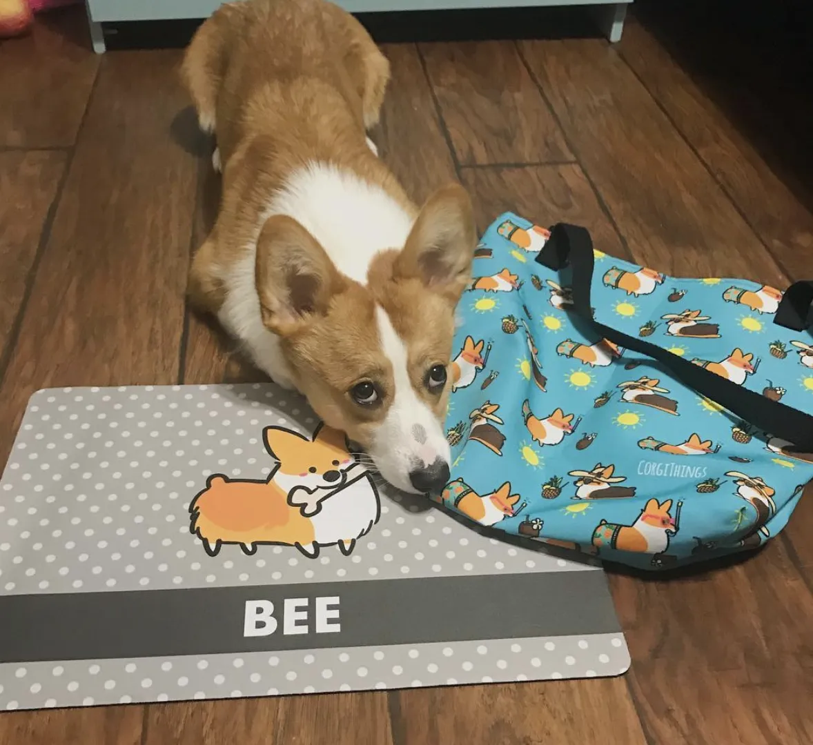 Beach Pawty Corgi Tote Bag