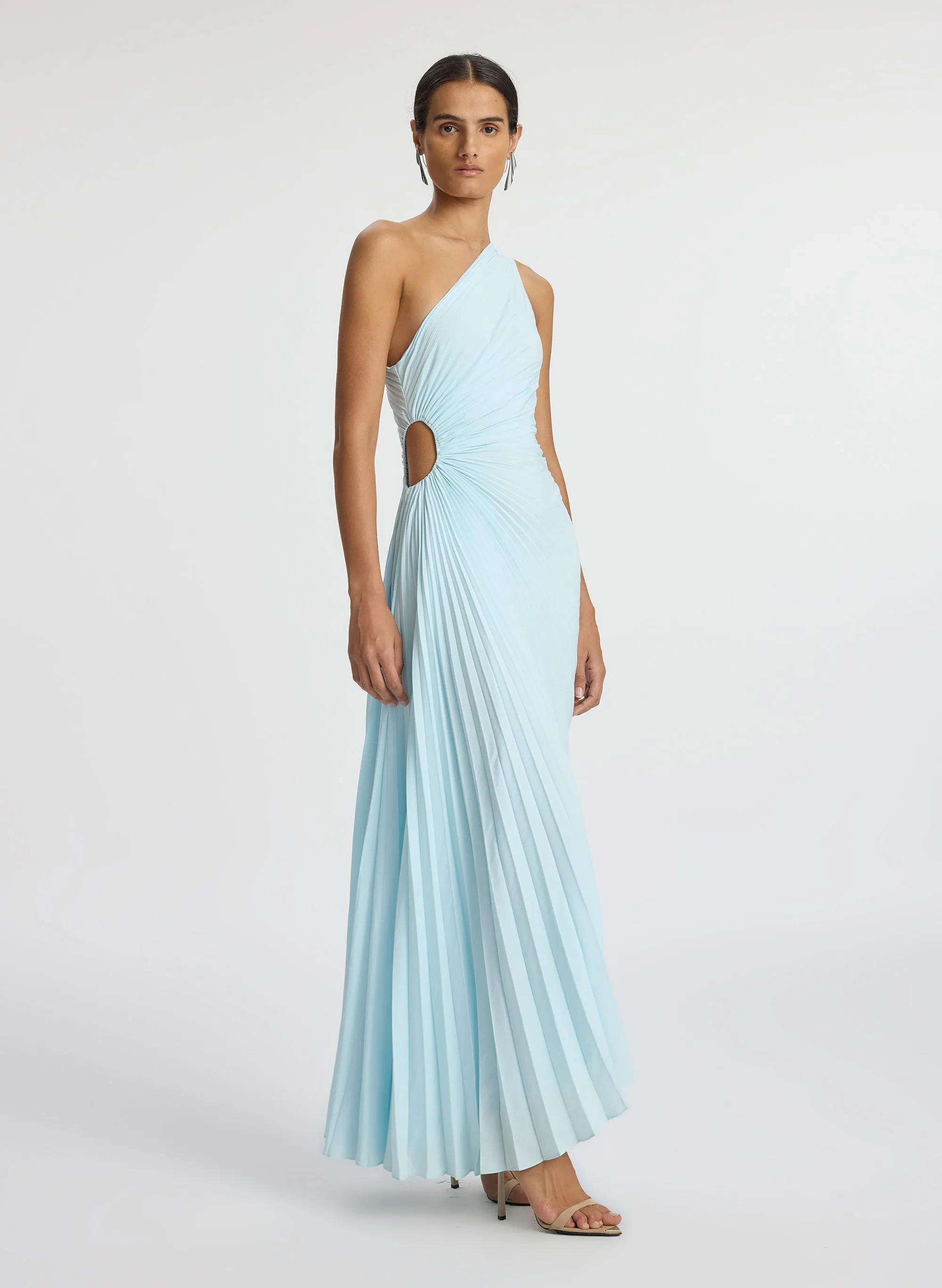 Delfina Matte Pleated Dress