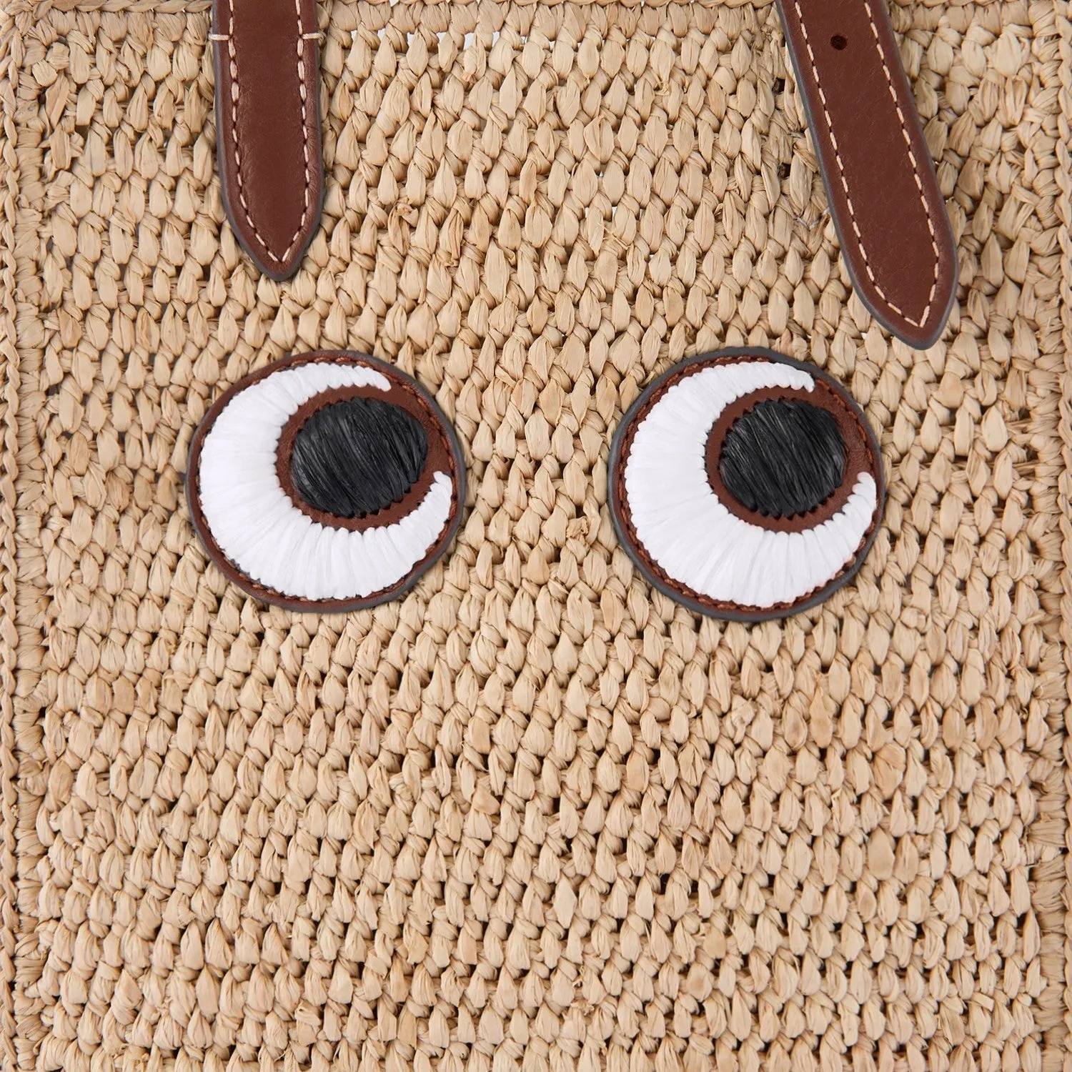 N/S Raffia Eyes Mini Cross-body Tote