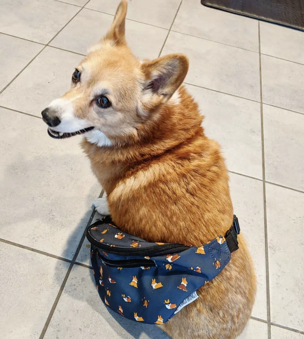 "Cool Corgis" Gray Fanny Pack