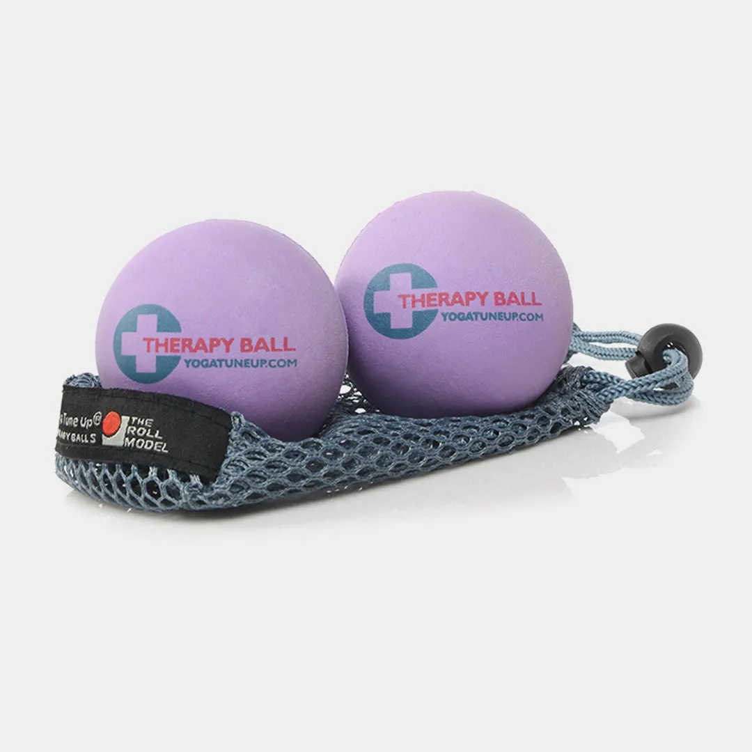 Therapy Ball Pair in Tote